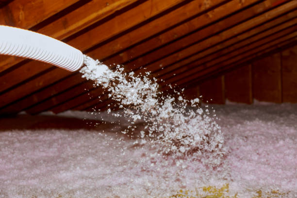 Best Insulation Maintenance and Repair in Cusseta, GA