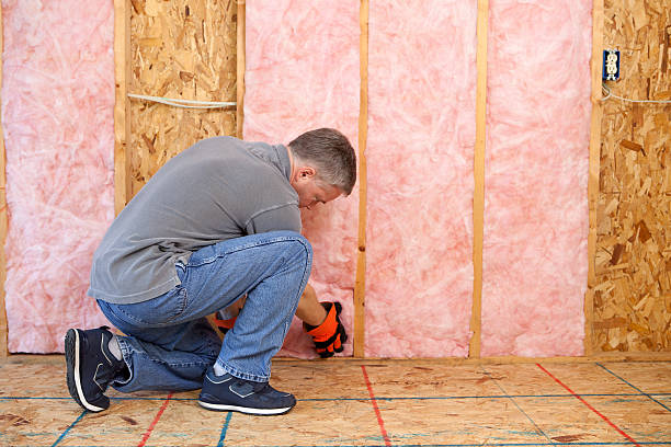 Best Specialized Insulation Services in Cusseta, GA